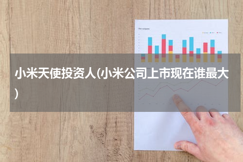 小米天使投资人(小米公司上市现在谁最大)