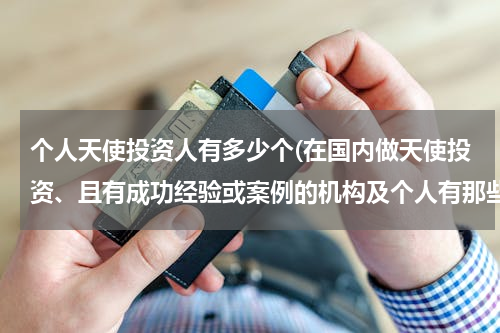 个人天使投资人有多少个(在国内做天使投资、且有成功经验或案例的机构及个人有那些？)