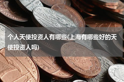 个人天使投资人有哪些(上海有哪些好的天使投资人吗)