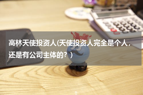 高林天使投资人(天使投资人完全是个人，还是有公司主体的？)