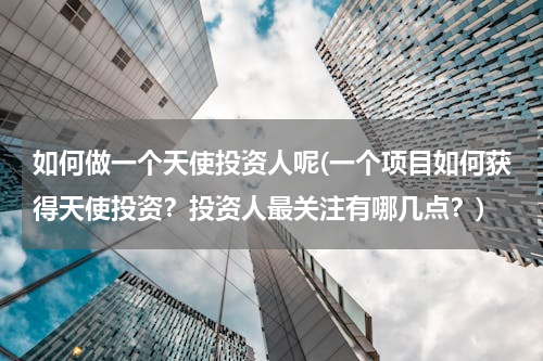 如何做一个天使投资人呢(一个项目如何获得天使投资？投资人最关注有哪几点？)