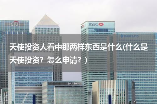 天使投资人看中那两样东西是什么(什么是天使投资？怎么申请？)