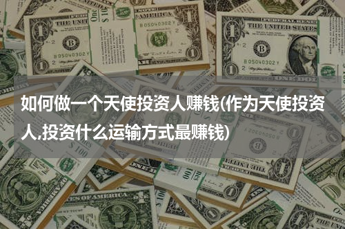 如何做一个天使投资人赚钱(作为天使投资人,投资什么运输方式最赚钱)