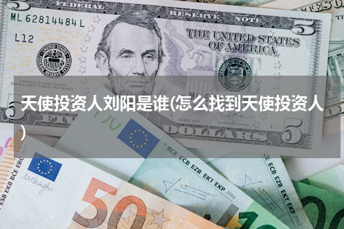 天使投资人刘阳是谁(怎么找到天使投资人)