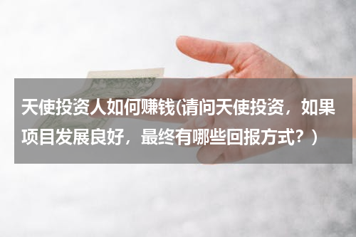 天使投资人如何赚钱(请问天使投资，如果项目发展良好，最终有哪些回报方式？)