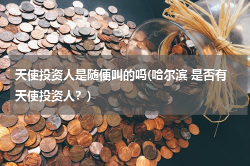 天使投资人是随便叫的吗(哈尔滨 是否有天使投资人？)