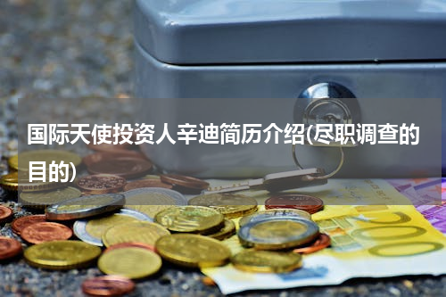 国际天使投资人辛迪简历介绍(尽职调查的目的)