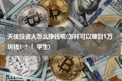 天使投资人怎么挣钱呢(怎样可以赚到1万块钱！！！学生)