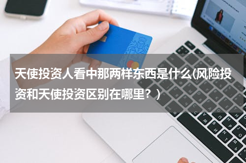 天使投资人看中那两样东西是什么(风险投资和天使投资区别在哪里？)