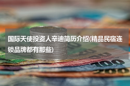 国际天使投资人辛迪简历介绍(精品民宿连锁品牌都有那些)