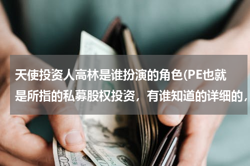天使投资人高林是谁扮演的角色(PE也就是所指的私募股权投资，有谁知道的详细的，说说。)