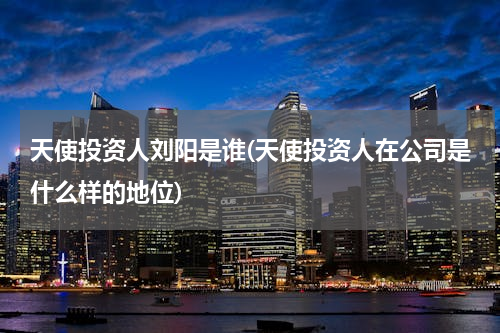 天使投资人刘阳是谁(天使投资人在公司是什么样的地位)