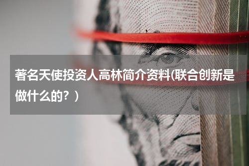 著名天使投资人高林简介资料(联合创新是做什么的？)