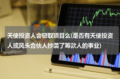 天使投资人会窃取项目么(是否有天使投资人或风头合伙人抄袭了筹款人的事业)