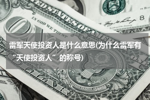 雷军天使投资人是什么意思(为什么雷军有“天使投资人”的称号)