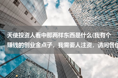 天使投资人看中那两样东西是什么(我有个赚钱的创业金点子，我需要人注资，请问各位像这样，应该怎么去寻找投资人。我的创意可以年收入上亿)