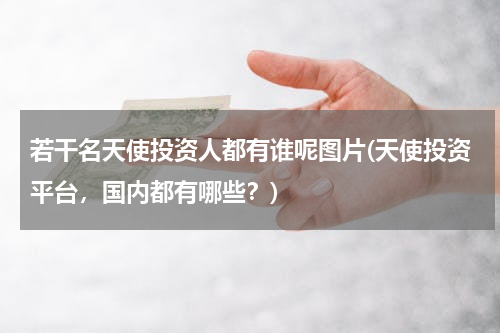 若干名天使投资人都有谁呢图片(天使投资平台，国内都有哪些？)