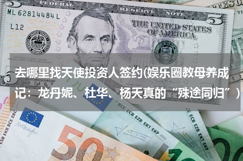 去哪里找天使投资人签约(娱乐圈教母养成记：龙丹妮、杜华、杨天真的“殊途同归”)