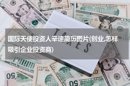 国际天使投资人辛迪简历图片(创业,怎样吸引企业投资商)