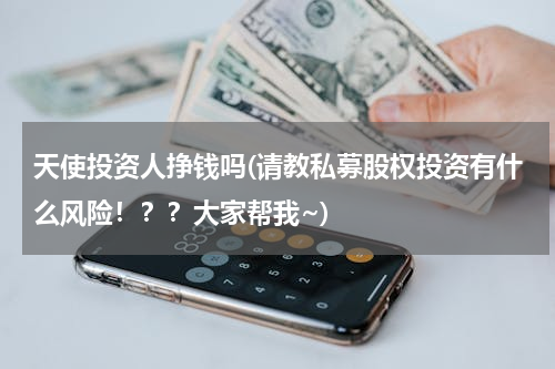 天使投资人挣钱吗(请教私募股权投资有什么风险！？？大家帮我~)