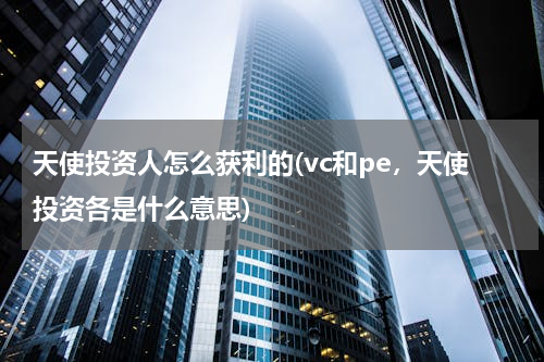 天使投资人怎么获利的(vc和pe，天使投资各是什么意思)