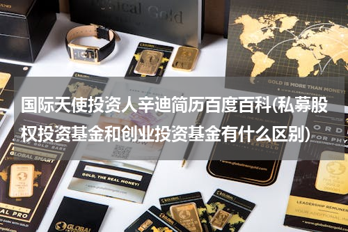 国际天使投资人辛迪简历百度百科(私募股权投资基金和创业投资基金有什么区别)