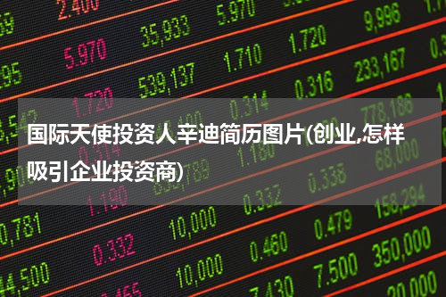 国际天使投资人辛迪简历图片(创业,怎样吸引企业投资商)