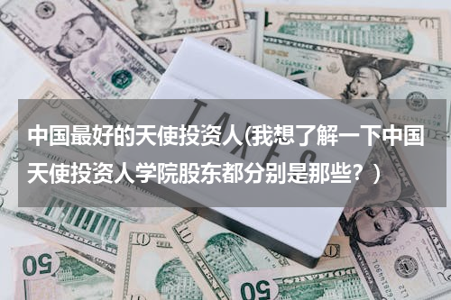 中国最好的天使投资人(我想了解一下中国天使投资人学院股东都分别是那些？)
