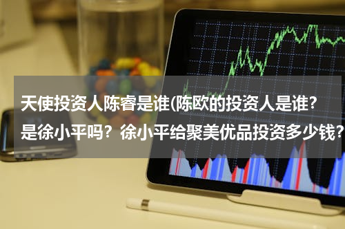 天使投资人陈睿是谁(陈欧的投资人是谁？是徐小平吗？徐小平给聚美优品投资多少钱？有一个采访说为什么要给陈欧的叫什么名字)