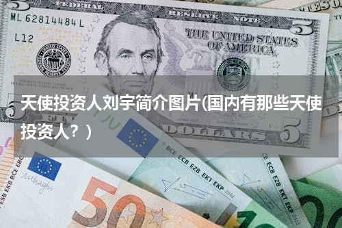 天使投资人刘宇简介图片(国内有那些天使投资人？)