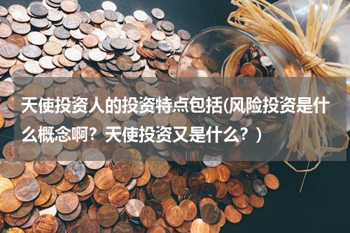 天使投资人的投资特点包括(风险投资是什么概念啊？天使投资又是什么？)