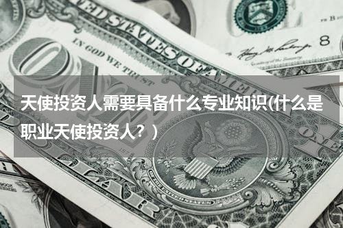 天使投资人需要具备什么专业知识(什么是职业天使投资人？)