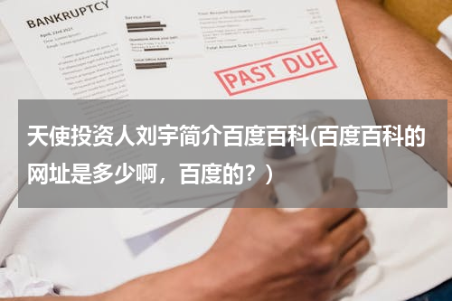 天使投资人刘宇简介百度百科(百度百科的网址是多少啊，百度的？)