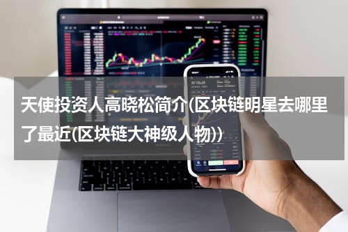天使投资人高晓松简介(区块链明星去哪里了最近(区块链大神级人物))