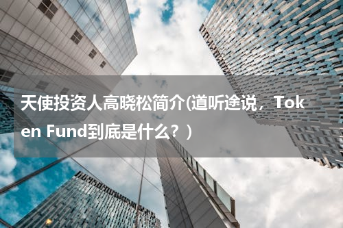 天使投资人高晓松简介(道听途说，Token Fund到底是什么？)