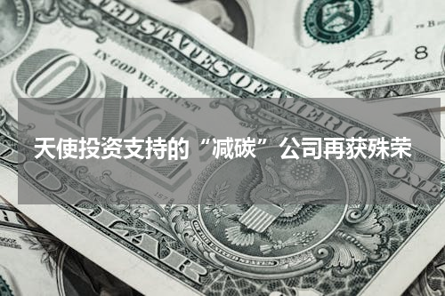天使投资支持的“减碳”公司再获殊荣