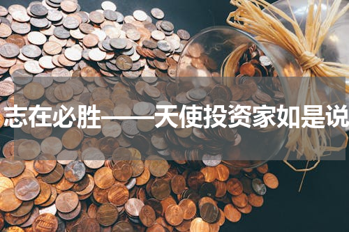 志在必胜——天使投资家如是说