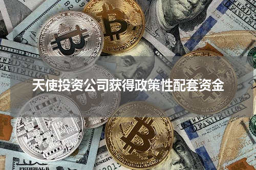 天使投资公司获得政策性配套资金