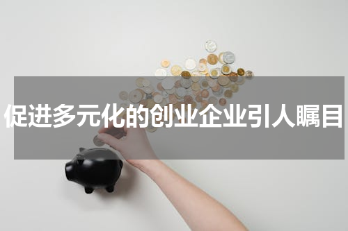 促进多元化的创业企业引人瞩目