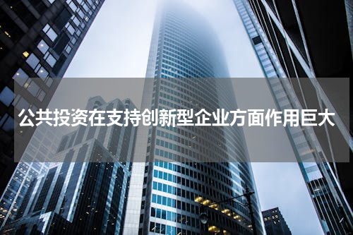 公共投资在支持创新型企业方面作用巨大