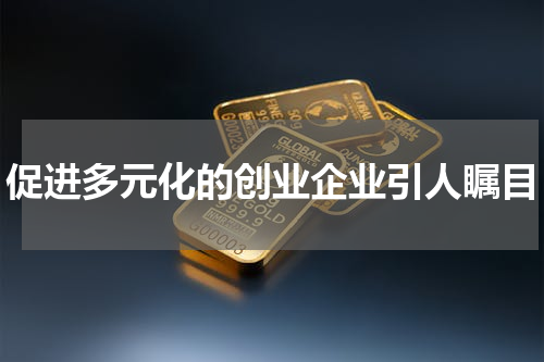 促进多元化的创业企业引人瞩目