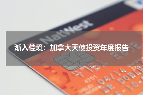 渐入佳境：加拿大天使投资年度报告