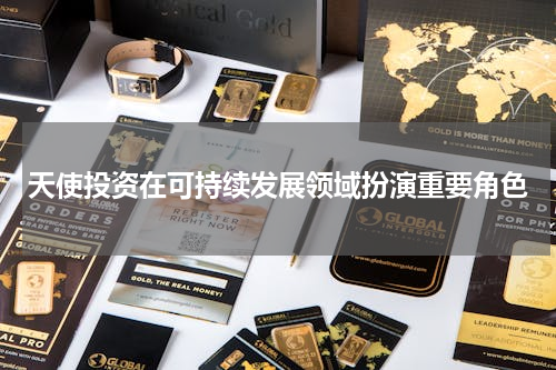 天使投资在可持续发展领域扮演重要角色