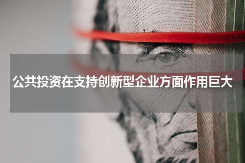公共投资在支持创新型企业方面作用巨大