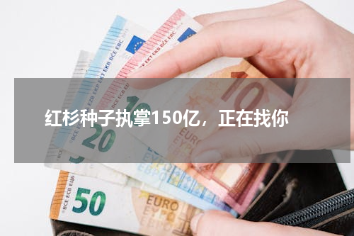 红杉种子执掌150亿，正在找你
