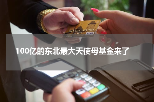 100亿的东北最大天使母基金来了